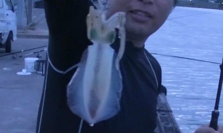 アオリイカと太刀魚好調